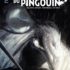 splendeur du pingouin