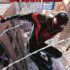 Spider-Man Miles Morales
