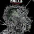 gideon falls tome 1 urban comics