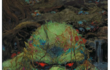 swamp thing infinite tome 1